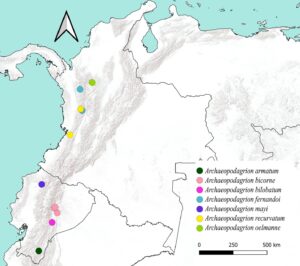 En esta imagen podrás ver el mapa de distribución de la especie del género Archaeopodagrion.