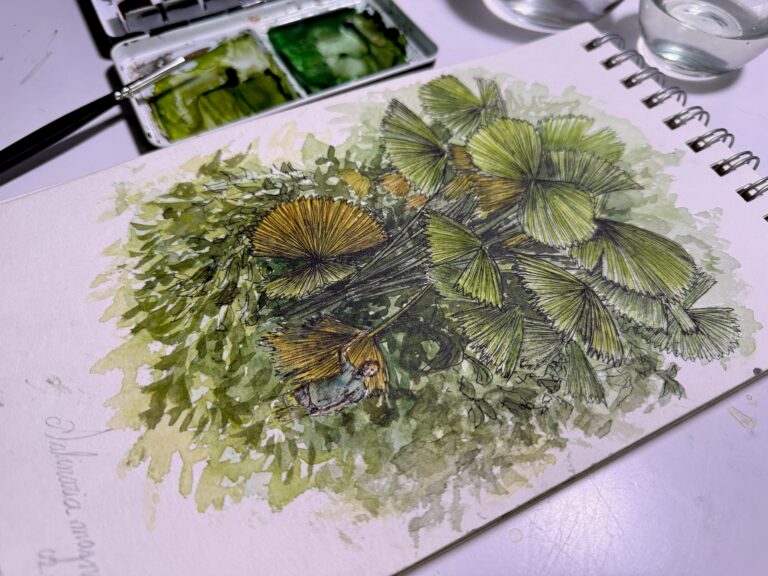 Expedición Científica: El Darién Hecho a Mano